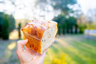 Jalapeño and Cheddar Sourdough Bread
