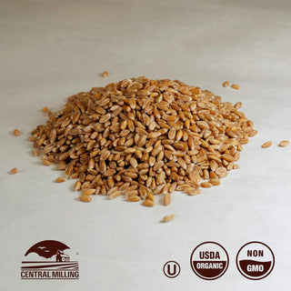 Organic Rye Wheat Berries