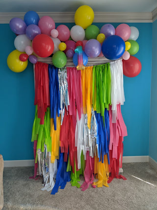 Custom Fringe Rainbow Backdrop