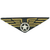 Aviator's Pin