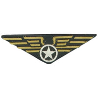 Aviator's Pin