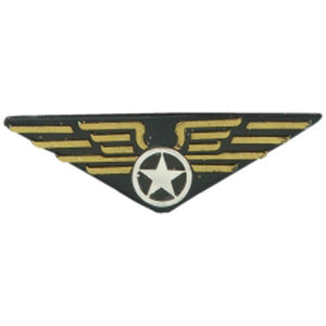 Aviator's Pin