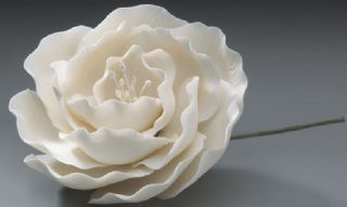 Gum Paste - Cake Topper - Briar Rose 3"