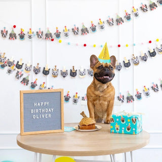 Puppy Party Banner