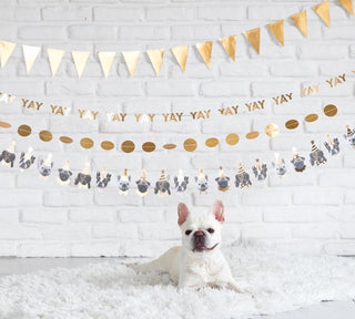 Puppy Party Banner