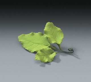 Gum Paste -Cake Topper - Rose Leaves - 3 Pack